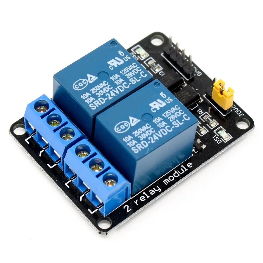 2 CH Relay Module,24VDC,Dual Channel Control