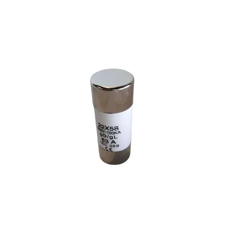 gL 63A 500V-100kA 22x58