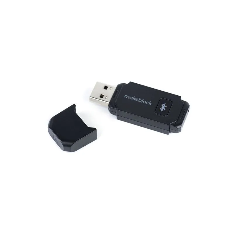 P5010002 BLUETOOTH DONGLE_EN