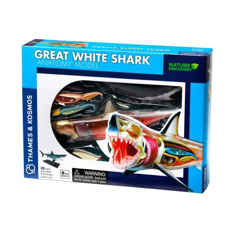 NATURE DISCOVERY Great White Shark Anatomy (261110)