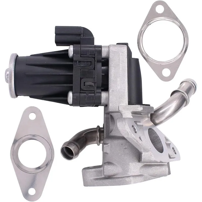 Water-Cooled EGR Valve with Gasket for Relay 2.2 HDI