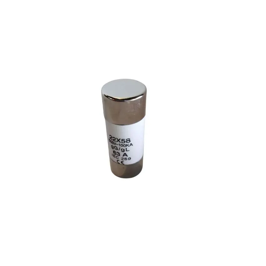 gL 63A 500V-100kA 22x58