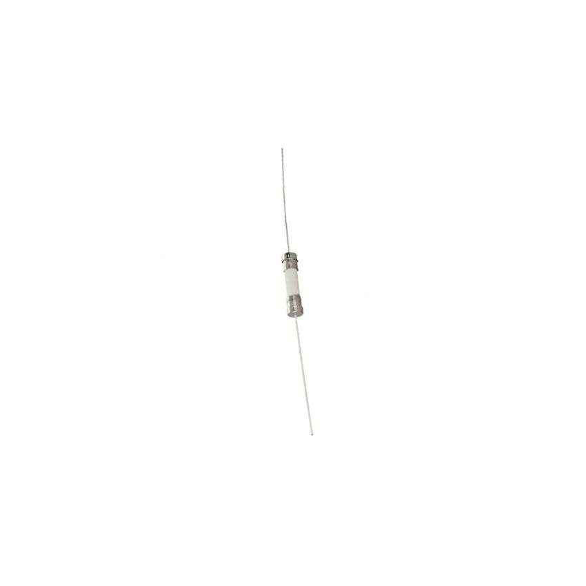 Ceramic Axial Lead Slow-Blow Fuse for Electrical Applications, T3.15A, 250V