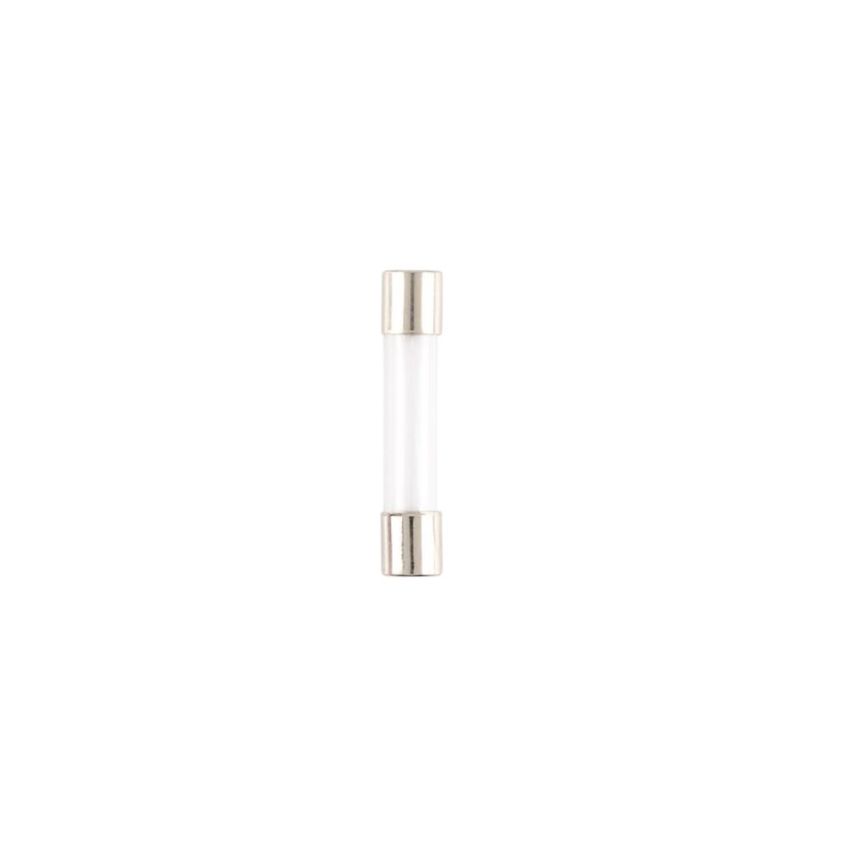 Glass Cartridge Fuse for Overcurrent Protection,1A 6 x 30mm