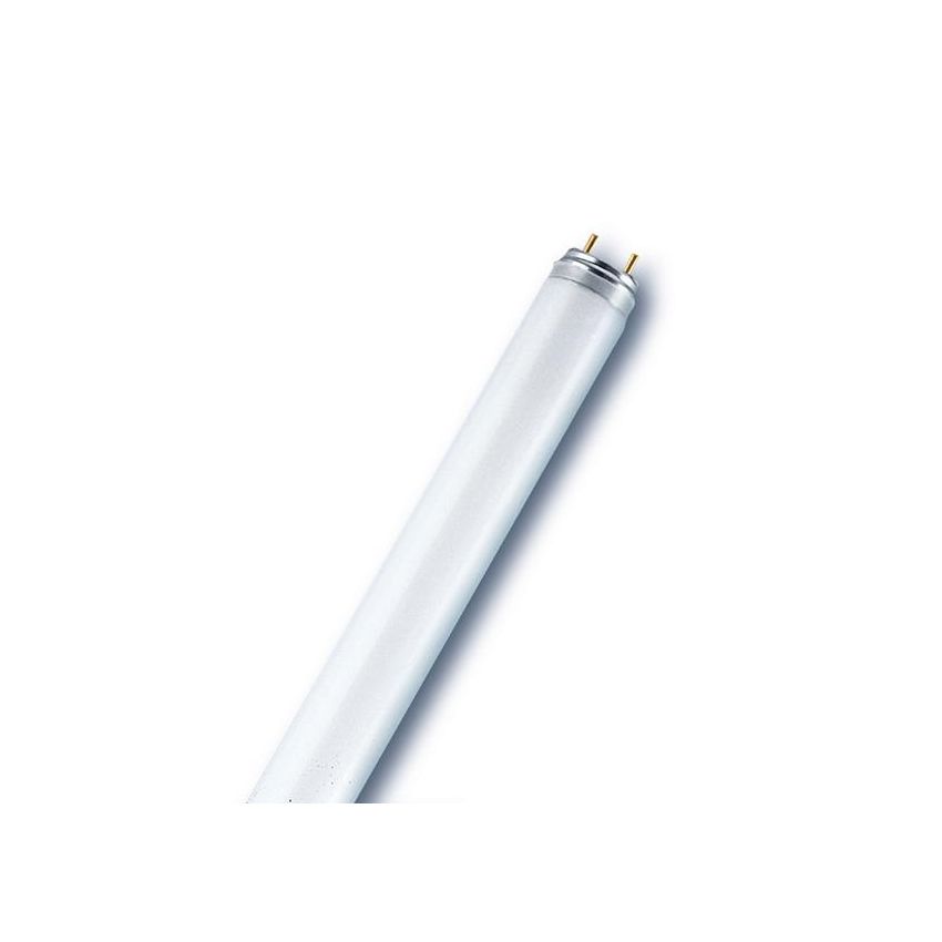 Osram T8 Fluorescent Tube, 58W, 765 Daylight, 6500K Color Temperature, G13 Base
