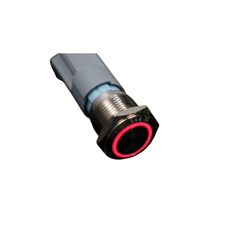 19AP11DZ, Illuminated Pushbutton Switch, Panel Mount Package