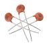 Ceramic Capacitor,22nF,50V