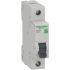 Circuit Breaker Easy 9 10A.1 Pole. Type C