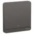 Schneider Electric AvatarOn 20A 250V 1-Gang Double-Pole Switch with LED – Dark Grey