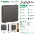 Schneider Electric AvatarOn 16AX 250V 1-Gang 1-Way Switch – Dark Grey