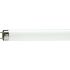 TLD 36W/54-765 Lifemax Fluorescent Tube, G13 Base, 6500K Daylight, 1200mm Length, India Version