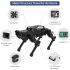 Advanced PuppyPi Kit Robot Dog with Raspberry Pi 4B 8GB AI Vision ROS Quadruped Robot