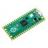 Raspberry Pi Pico RP2040