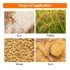 MD7822, Digital Grain Moisture and Temperature Meter, Precise Measurement for Grain Storage and Farming