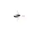 Neodymium Disc Magnet,Round,20mmx5mm