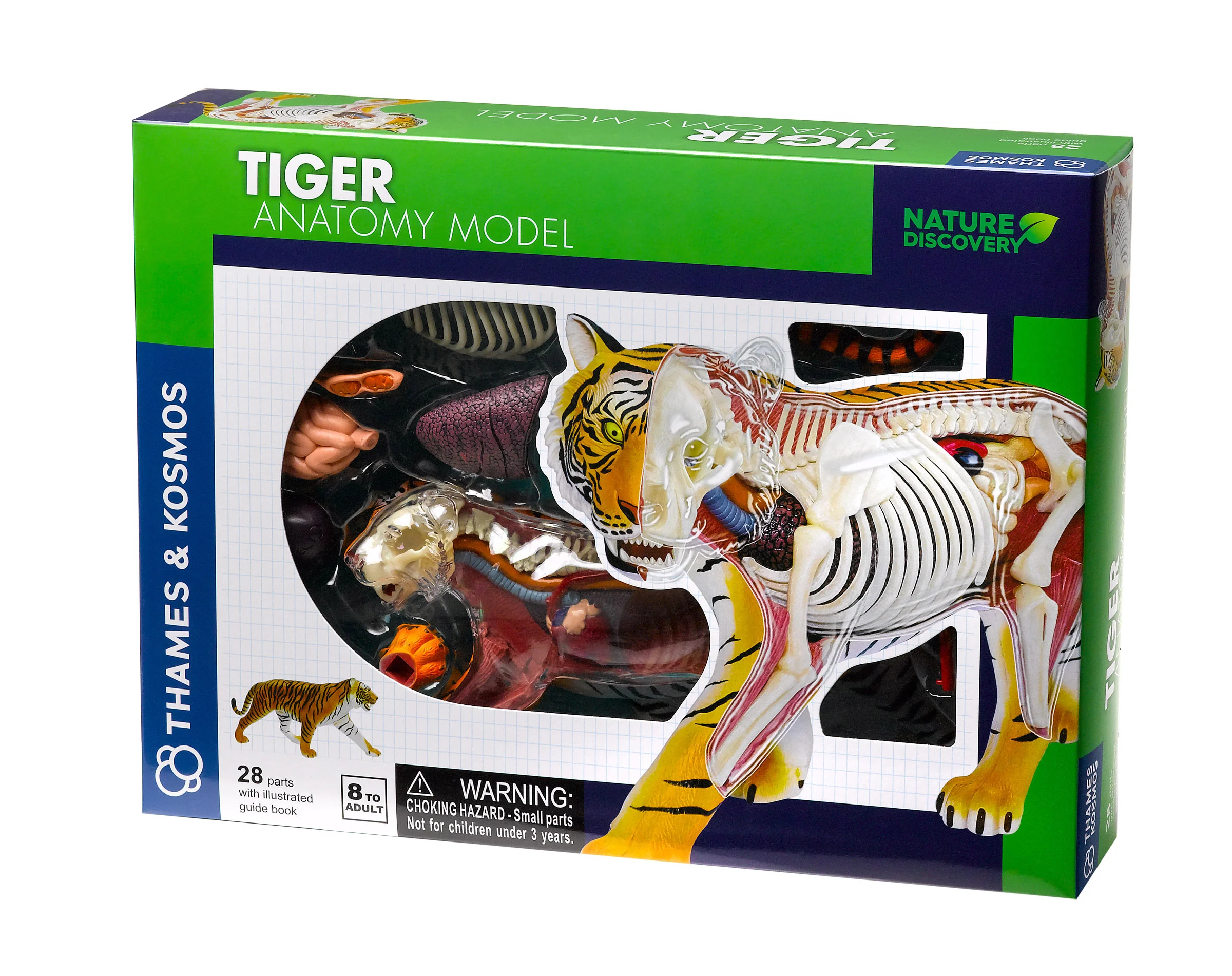 NATURE DISCOVERY Tiger Anatomy (261050)